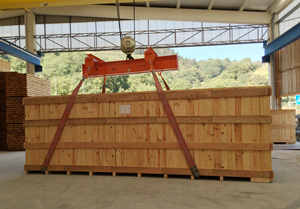 embalaje industrial en caja de madera de gran tamaño en Gipuzkoa