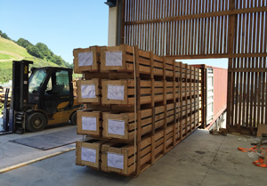 carga y estibaje de container en Gipuzkoa